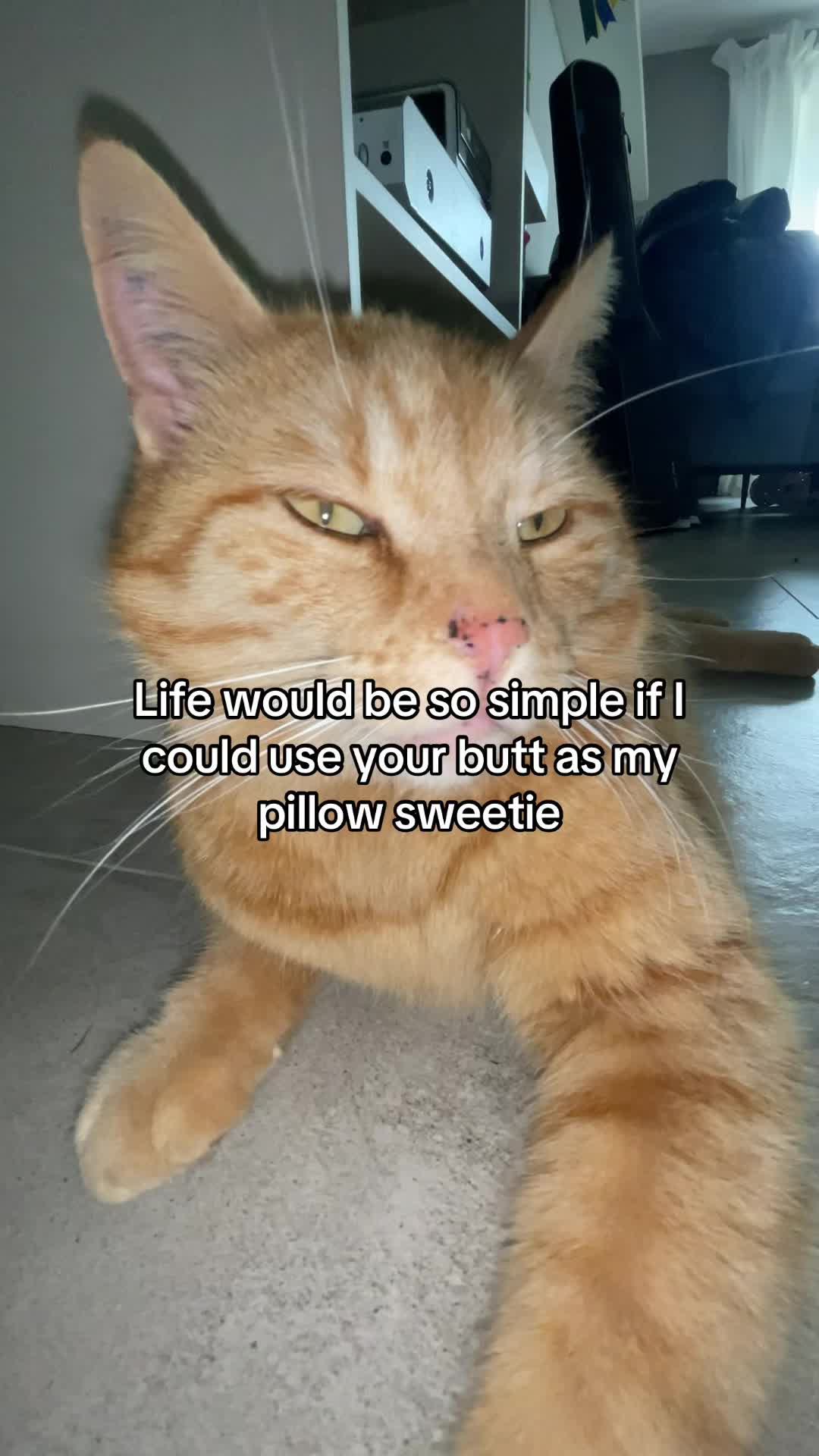 @Simba