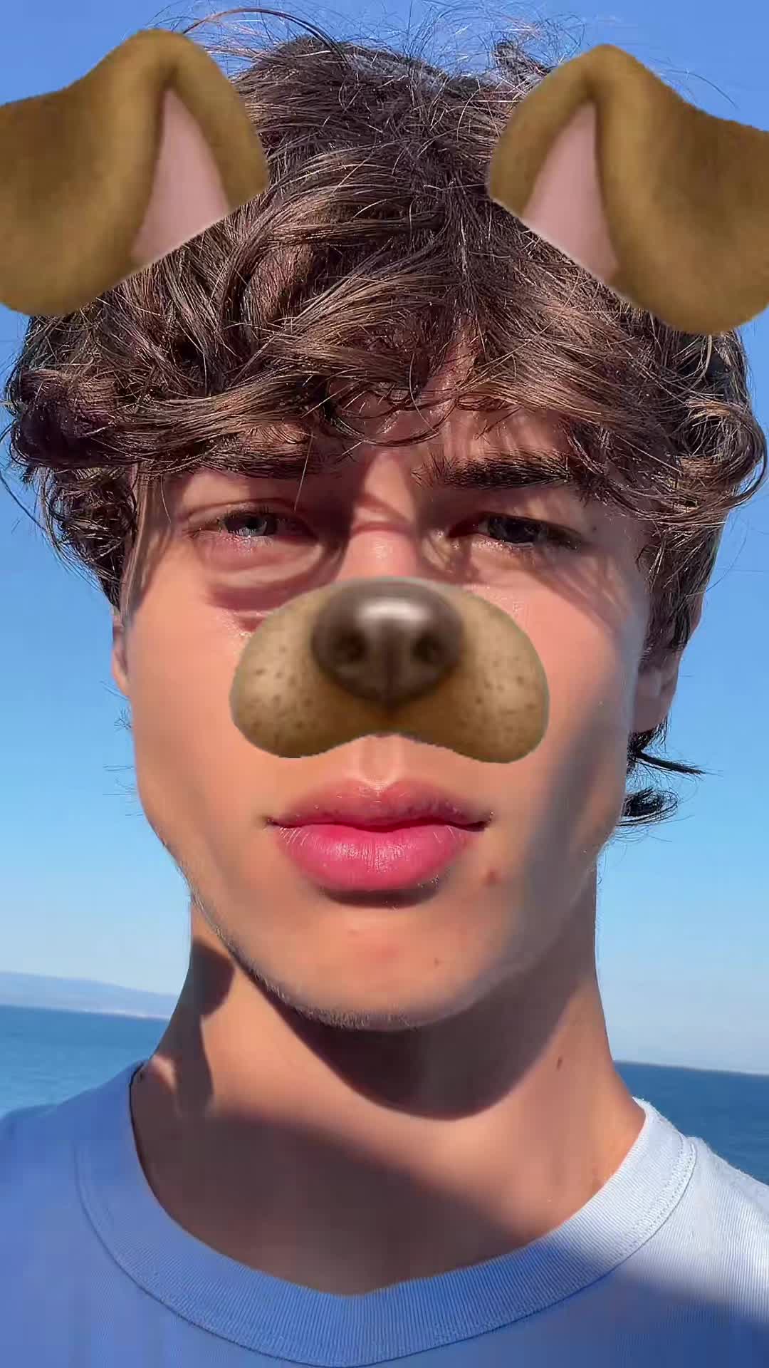 @mustardpsl