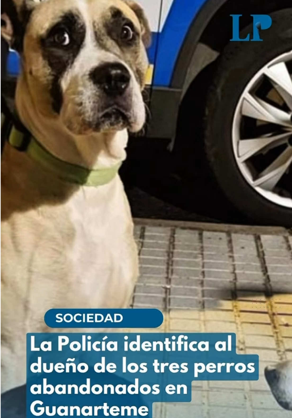 @La Provincia