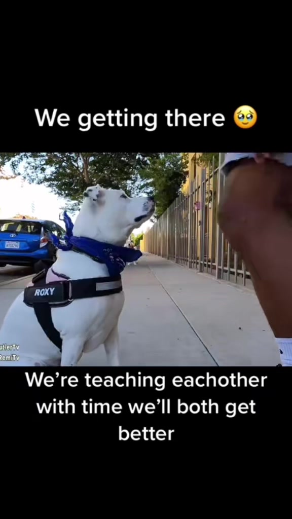 @JoshButlerTv ๐๏ธ