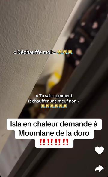 @SCOOP 🔎