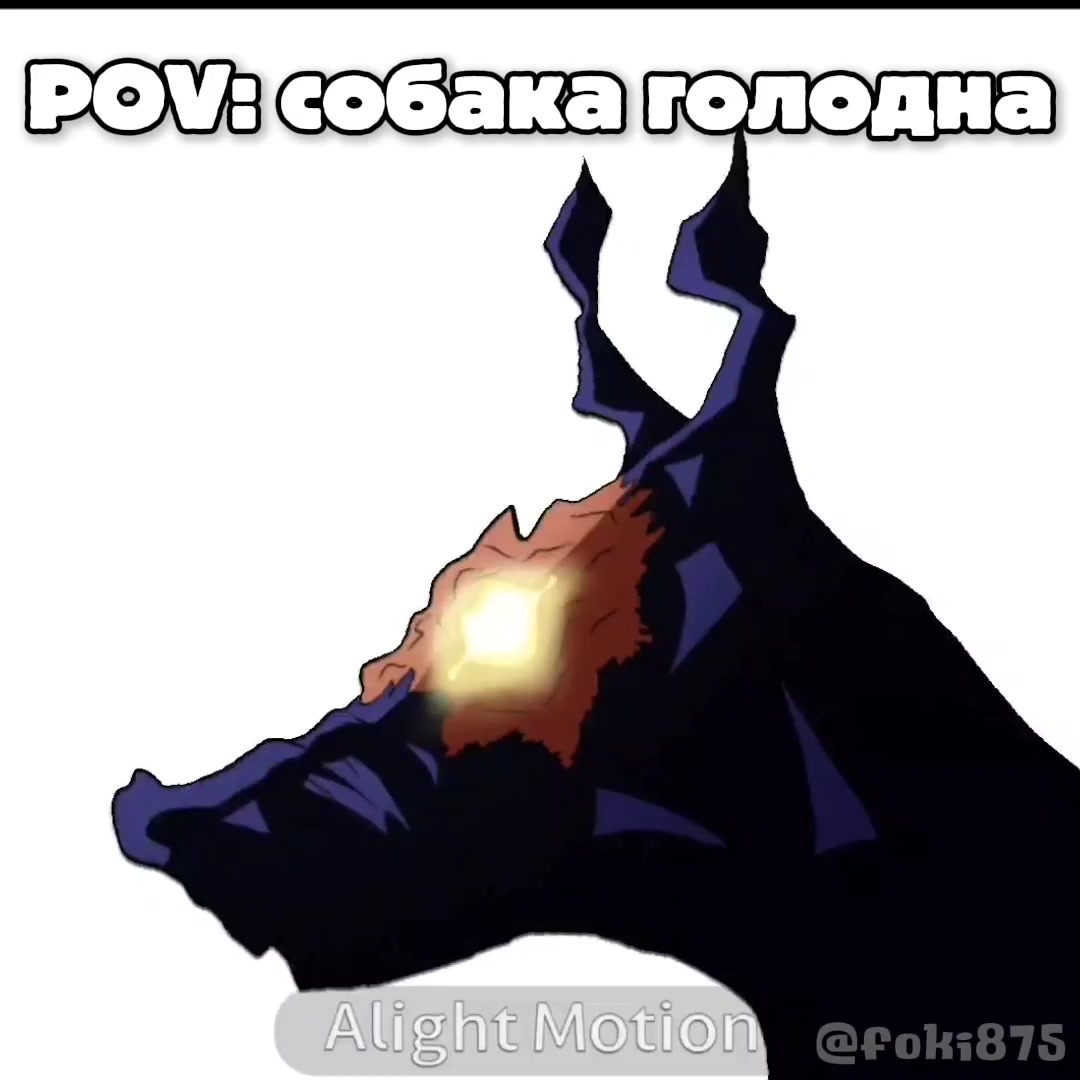@°§×Foki×§°
