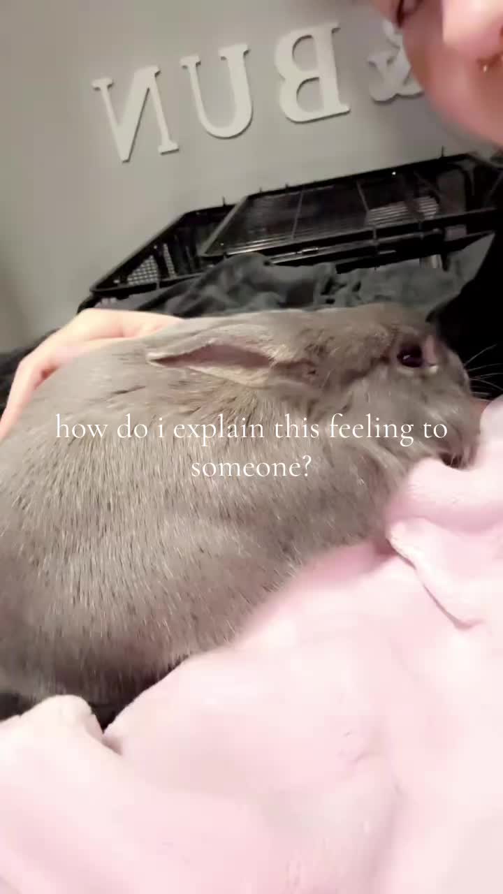 @bunbun & binky