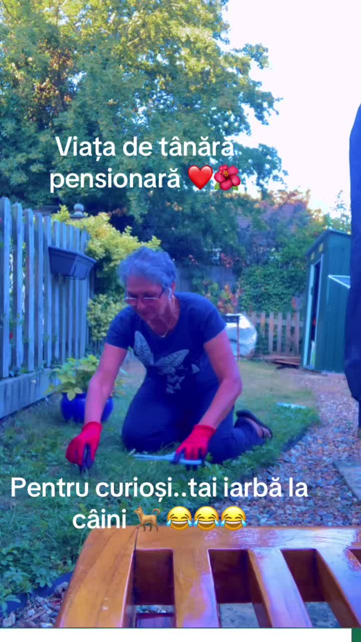 @Adriana Augustin295