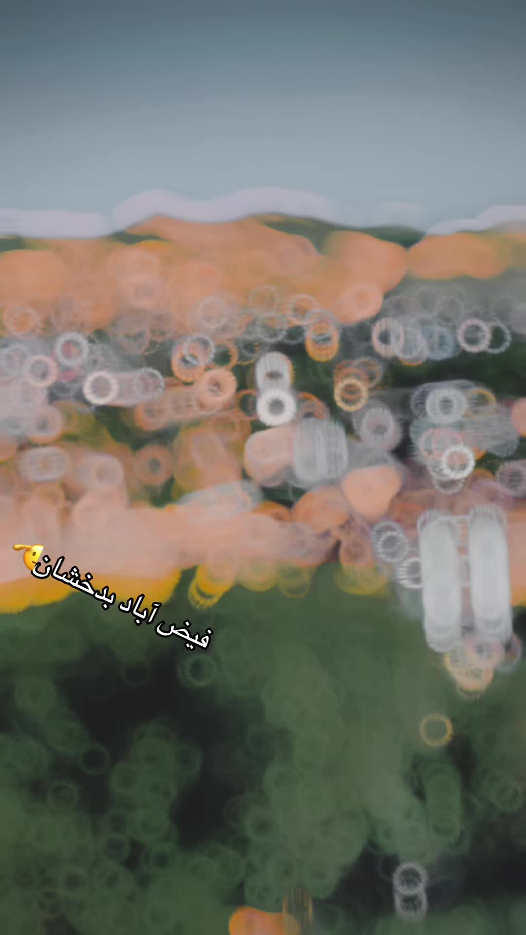 @شهزاده💎گگ بدخشی🦅
