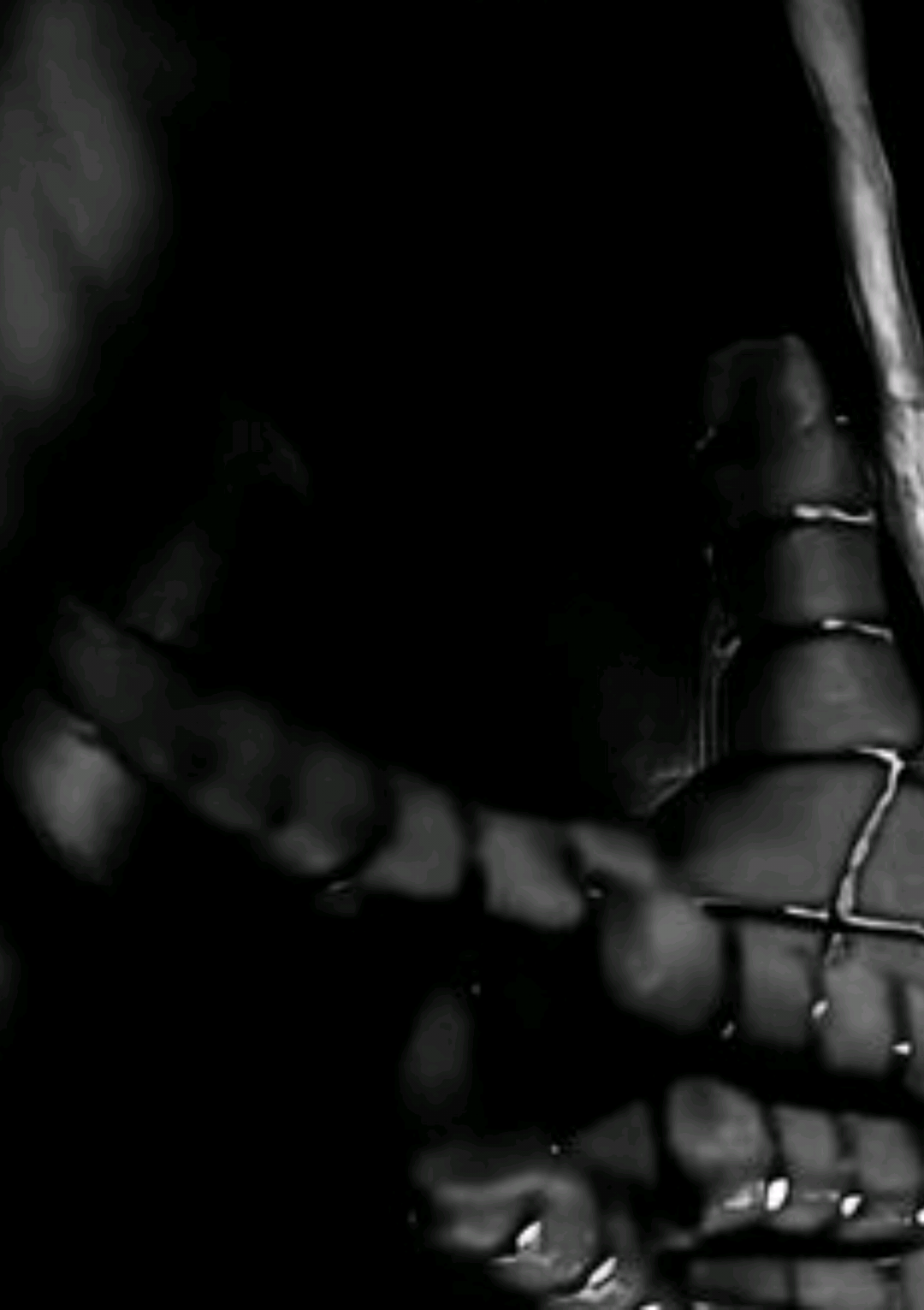 @𝐓𝐡𝐫𝐞𝐞𝟎𝟑.𝐌𝐮𝐬𝐢𝐜