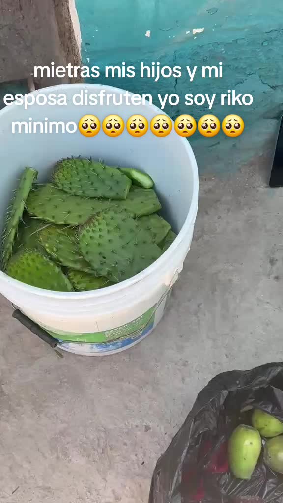 @El minimo del Tiktok
