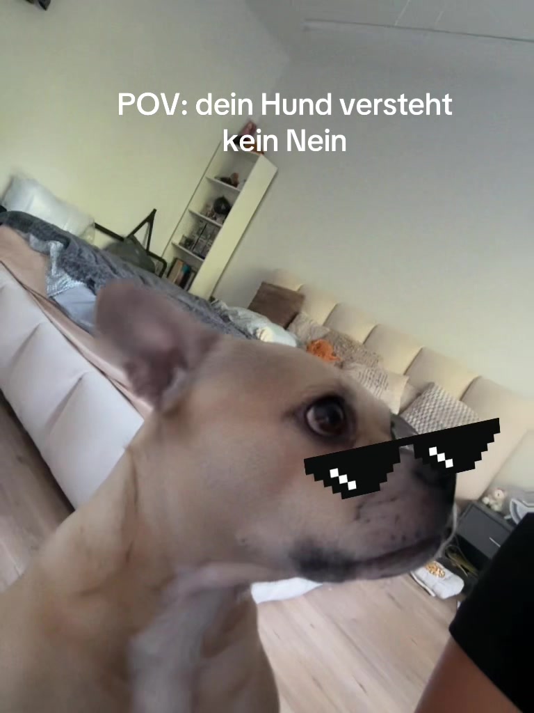 @Egzona