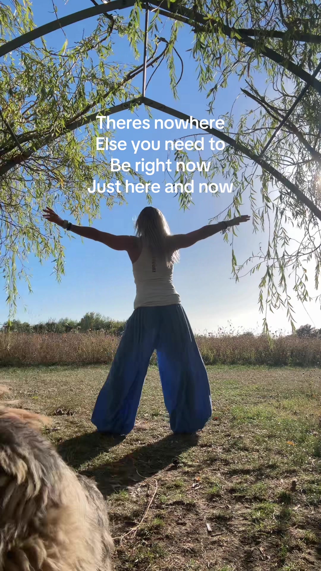 @forest.moon.wellbeing