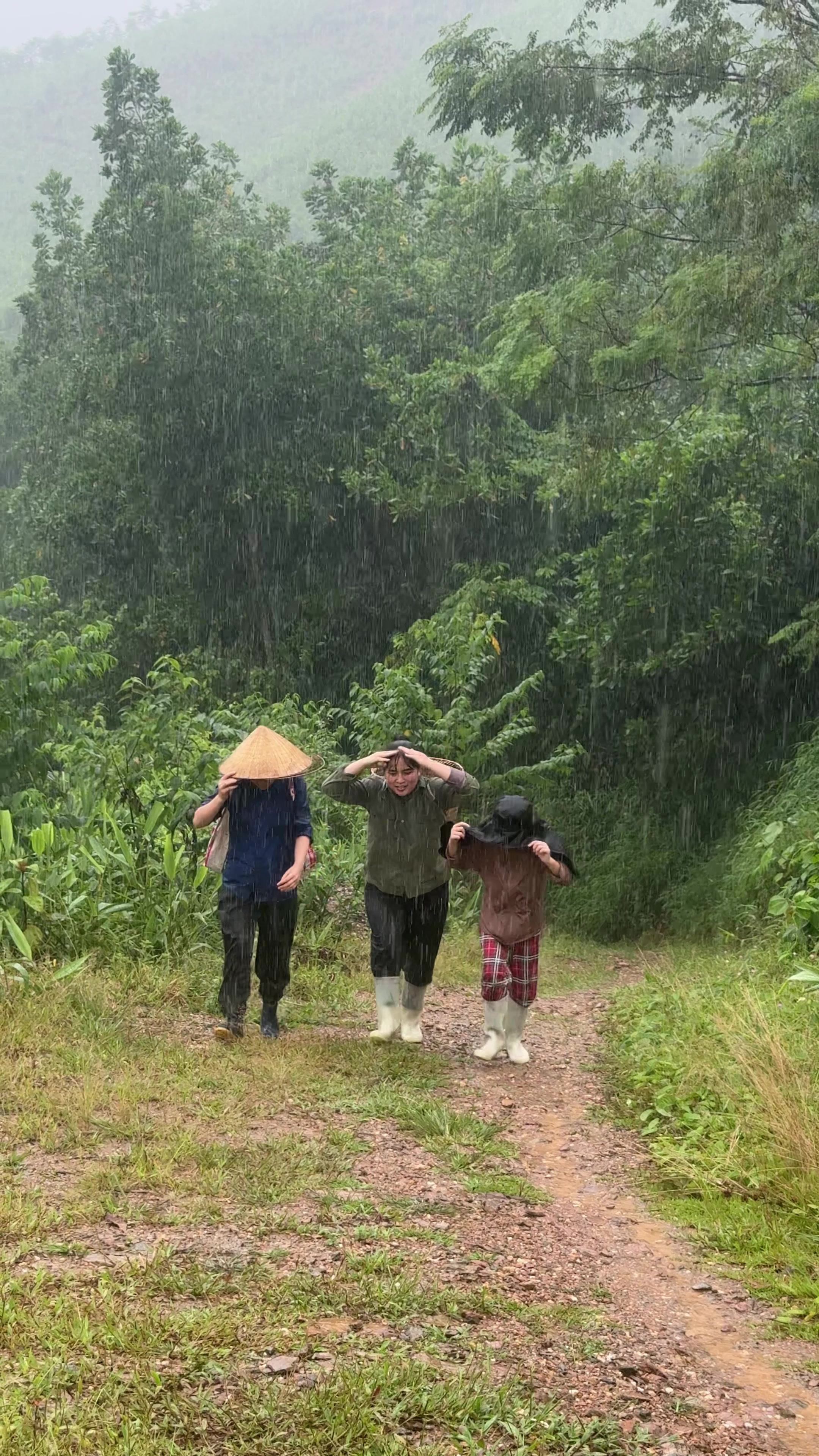 @Sức T&agrave;y
