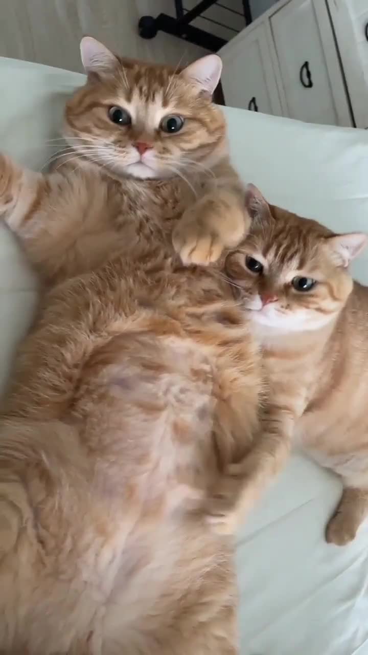 @ThaiFlash