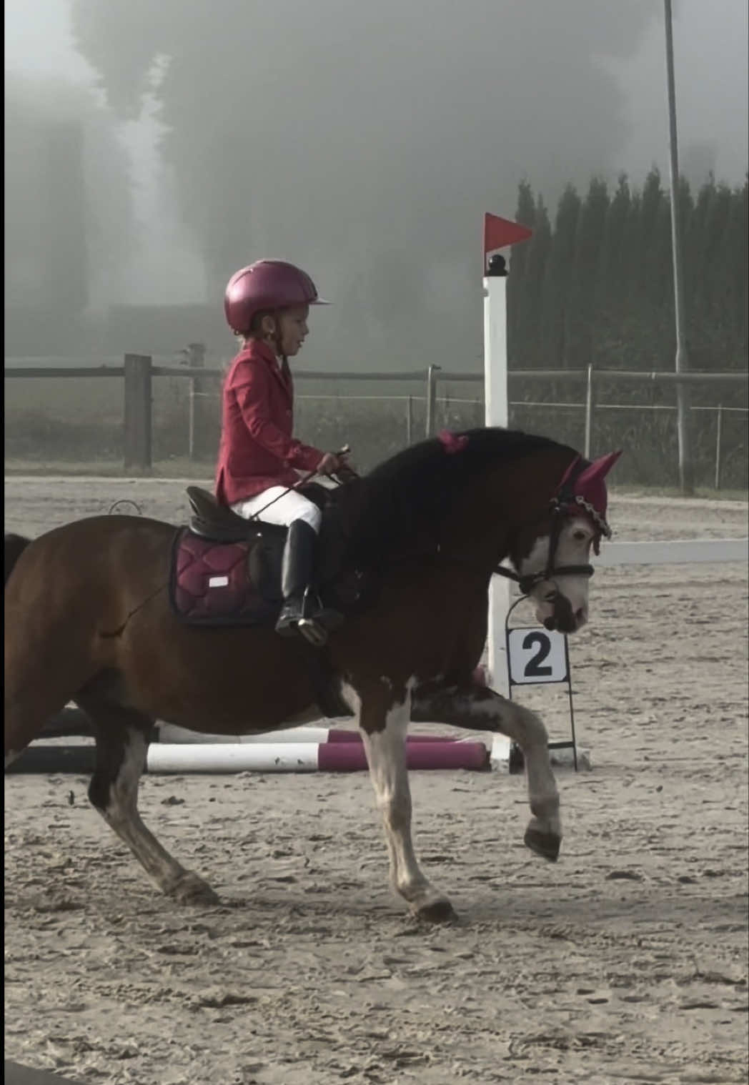 @Anais Super Pony&rsquo;s