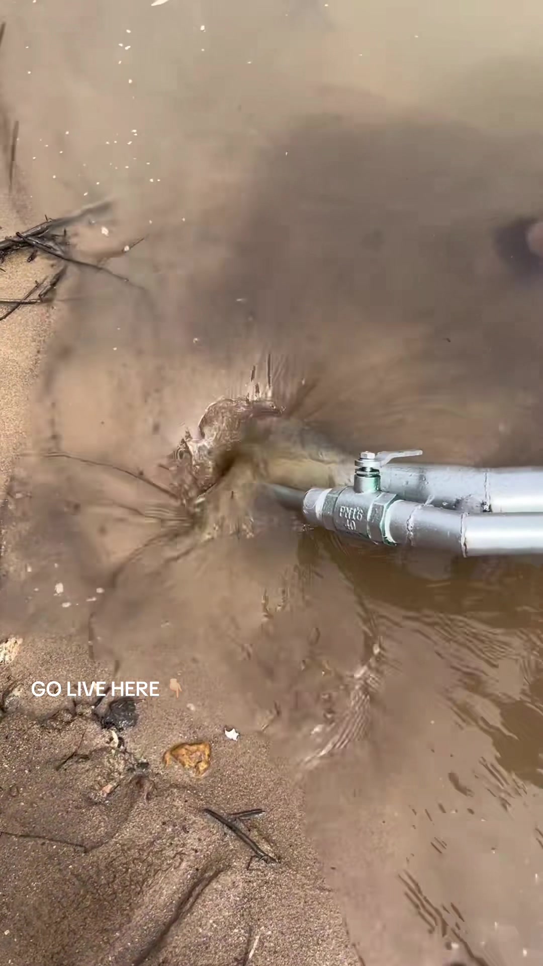 @Gold Prospecting