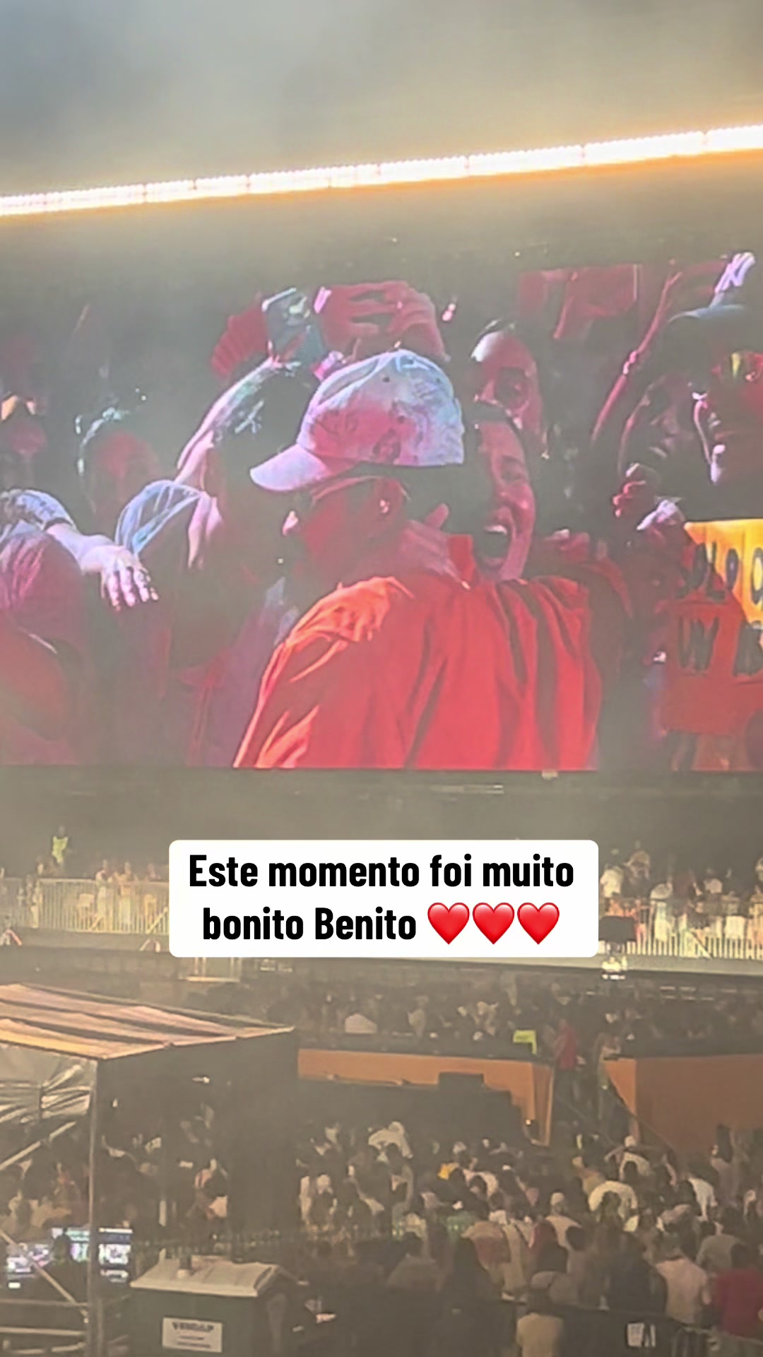 @Vera Soares