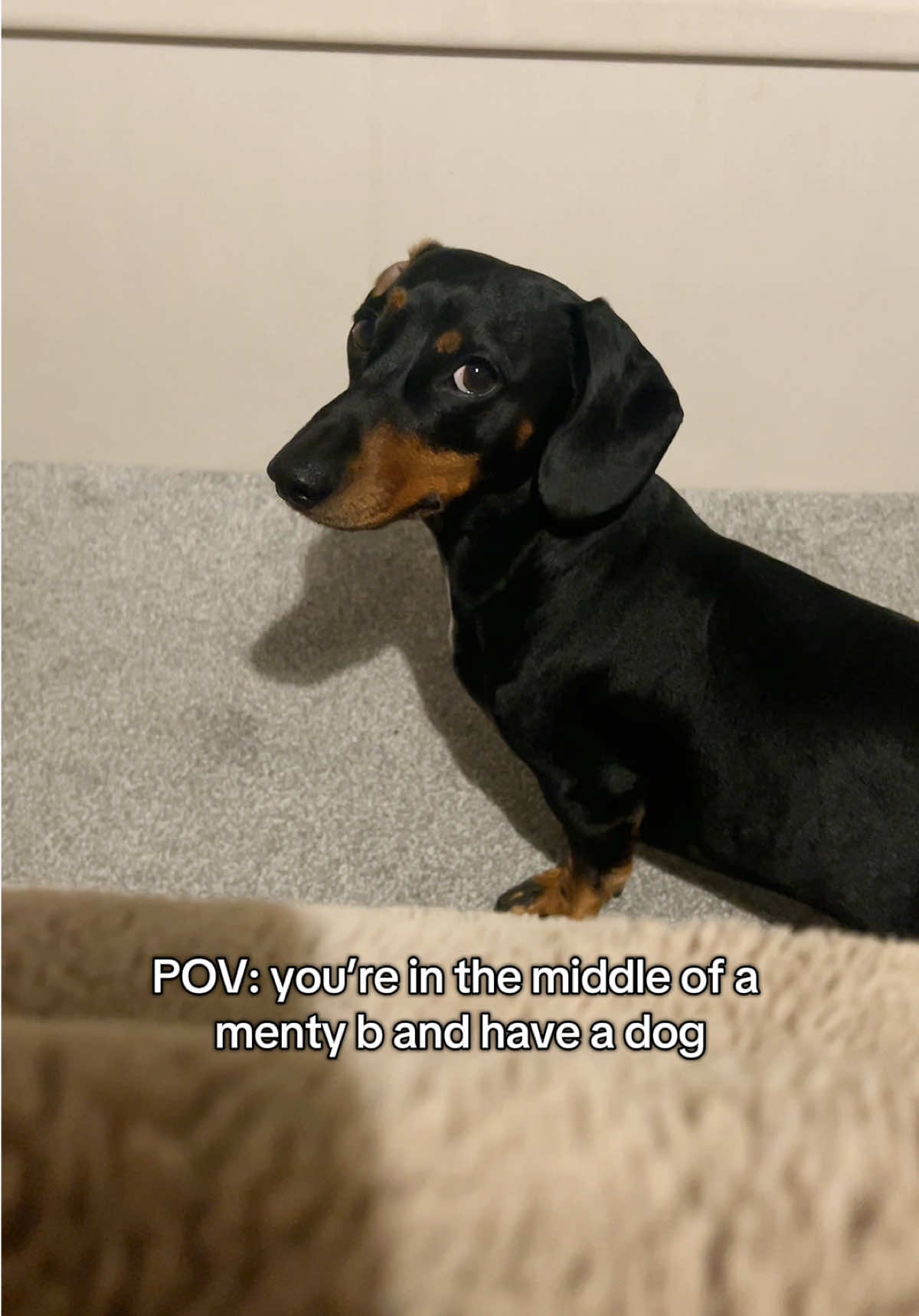 @Rebecca, Pip & Rolo