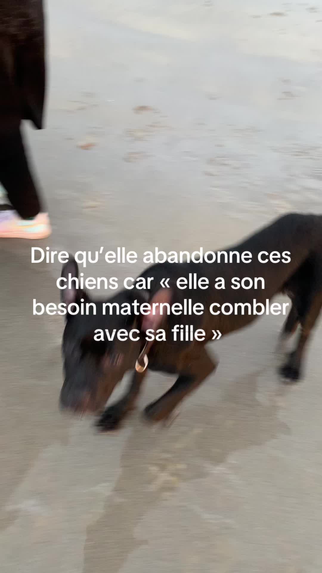 @les.aventures.de.naya