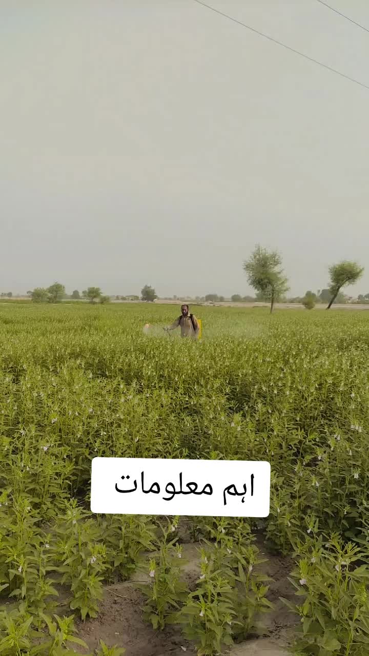 @Sarfraz qadri sahu