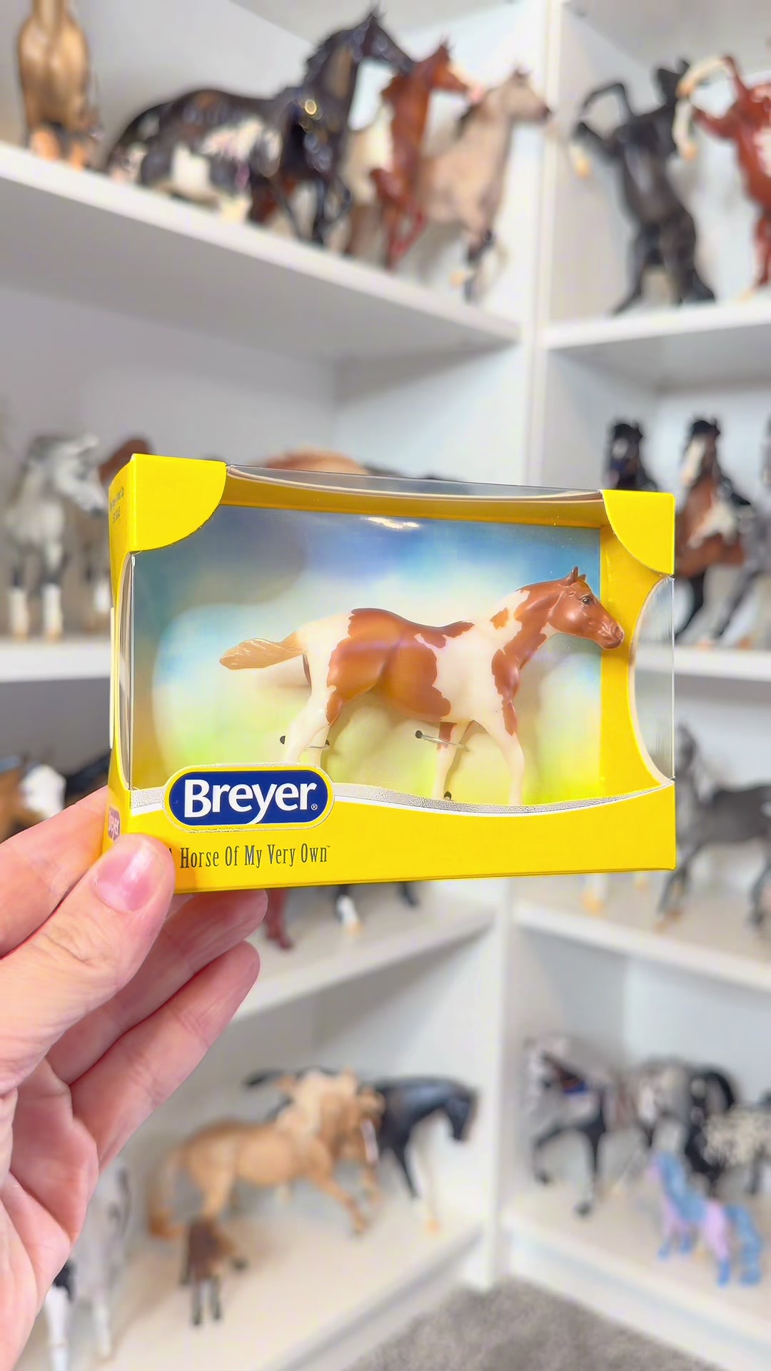 @Infinity Breyers