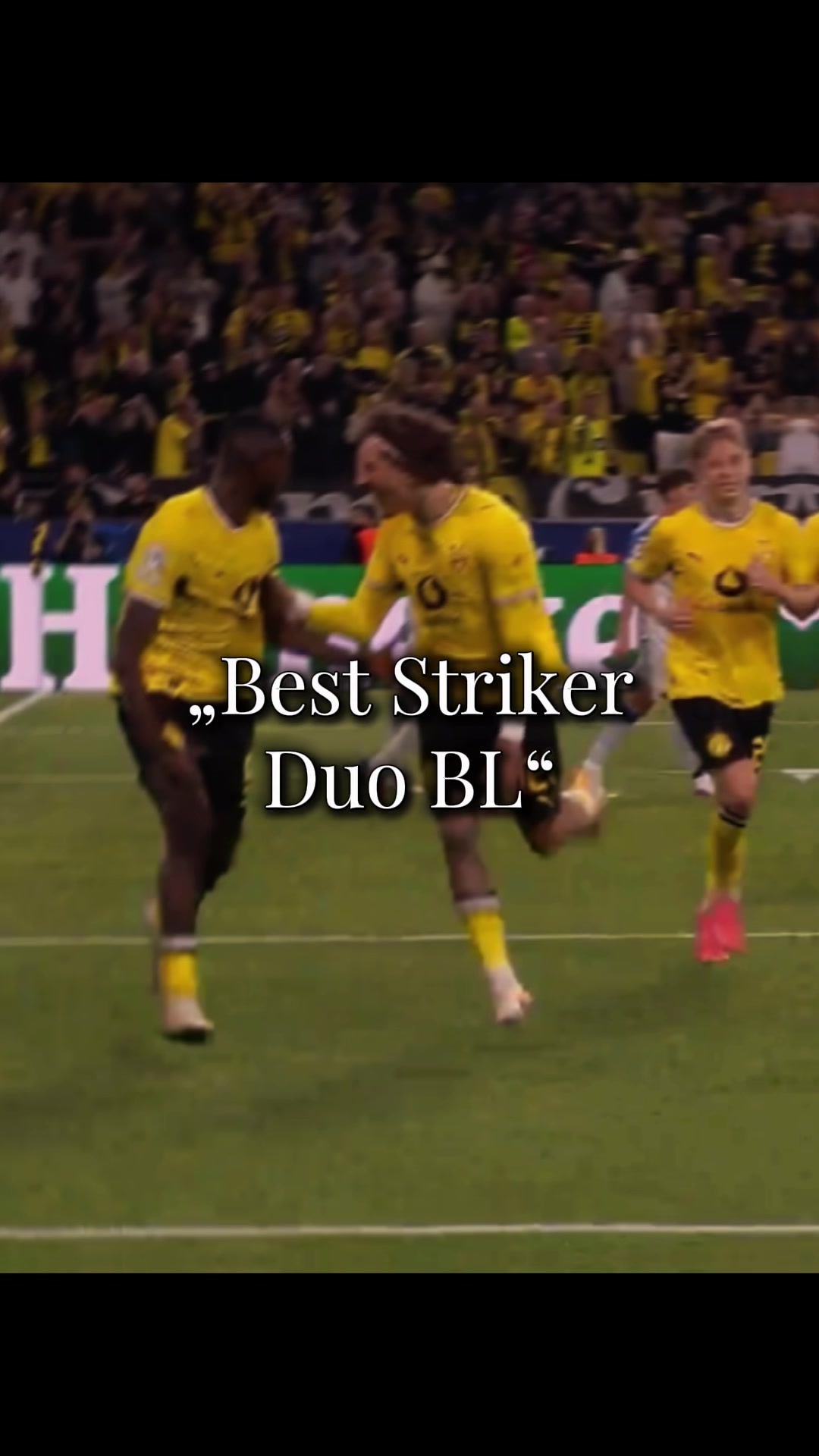 @XForza BVB🖤💛