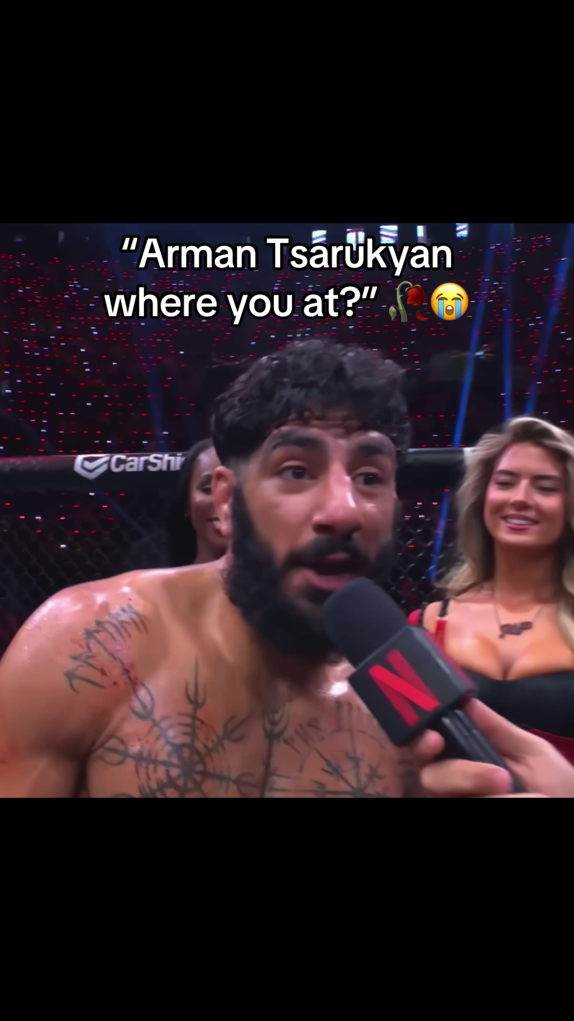 @arm.tsarukyan.fan
