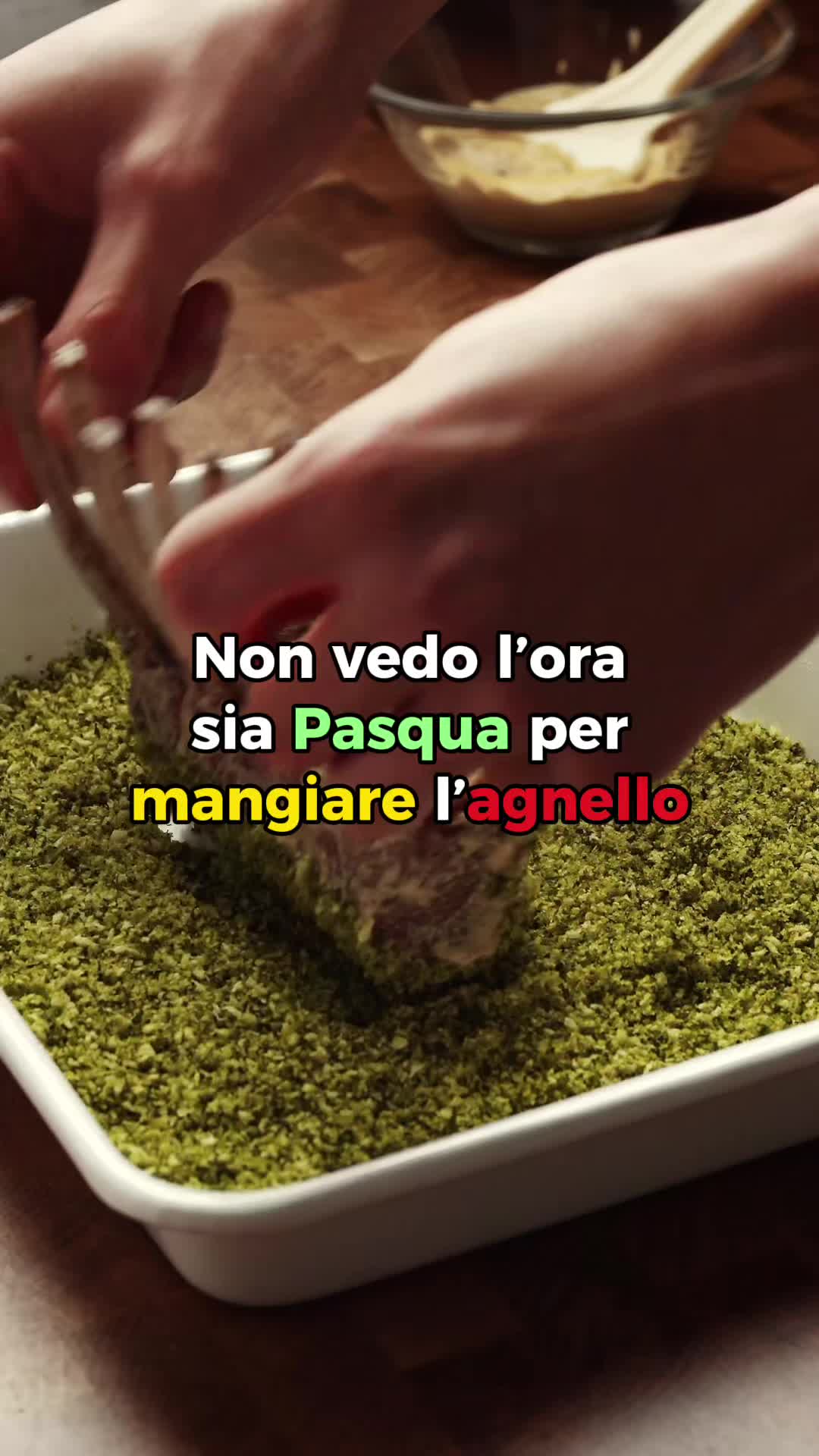 @vegbignosegal
