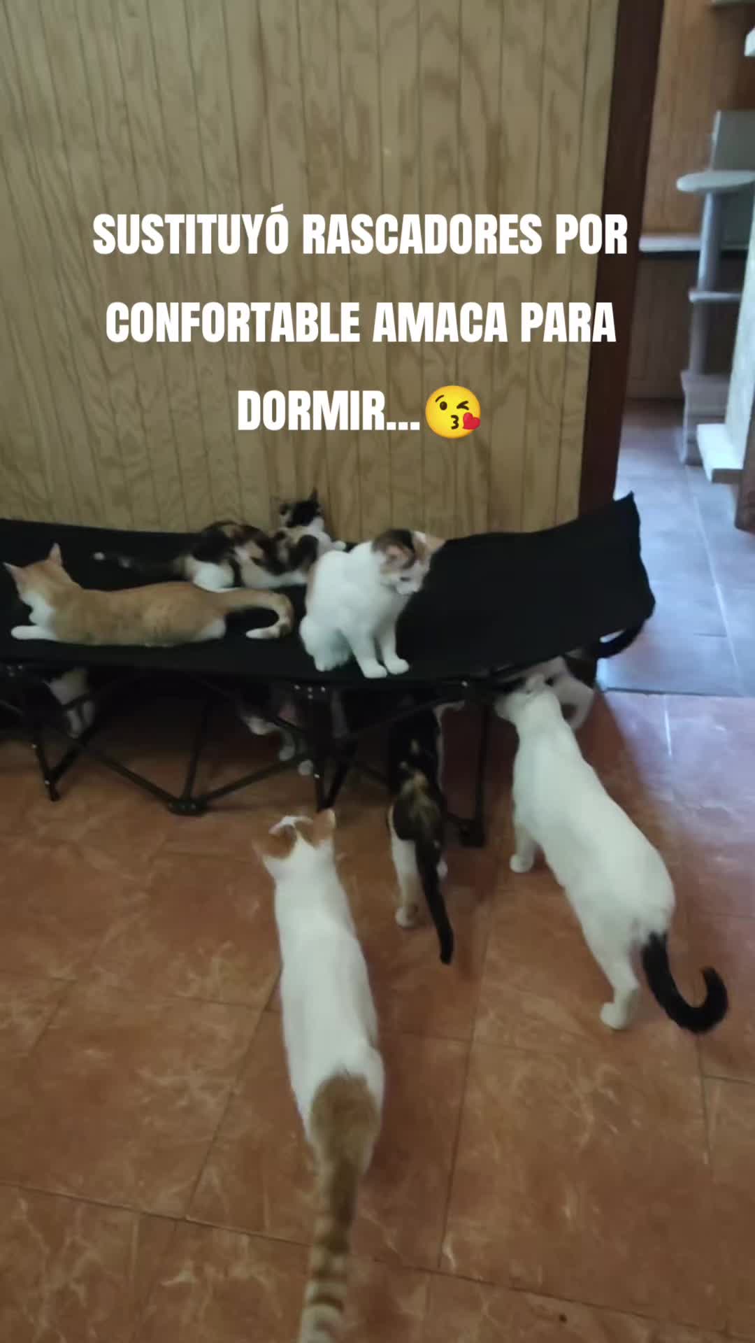 @David/sikuzar