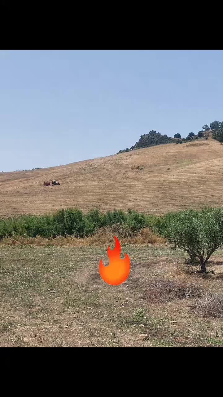 @laureato82
