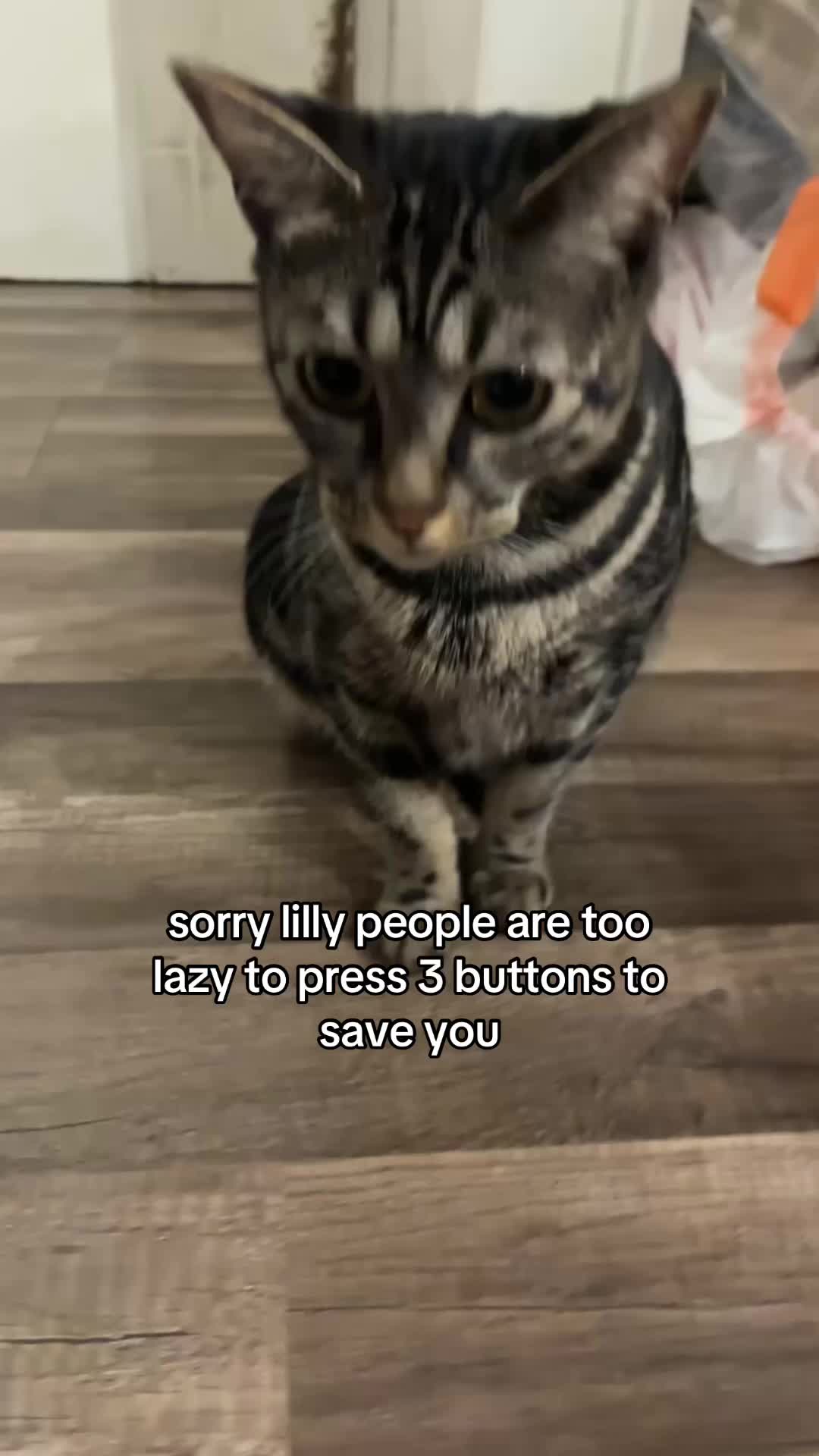 @Olivia