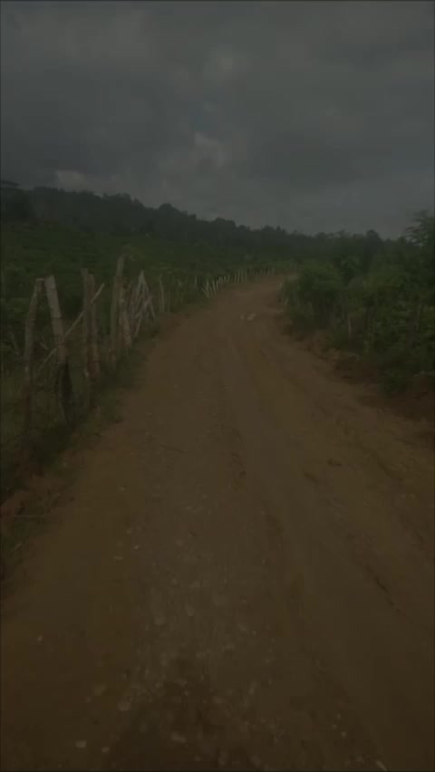 @Hwiacehtimur