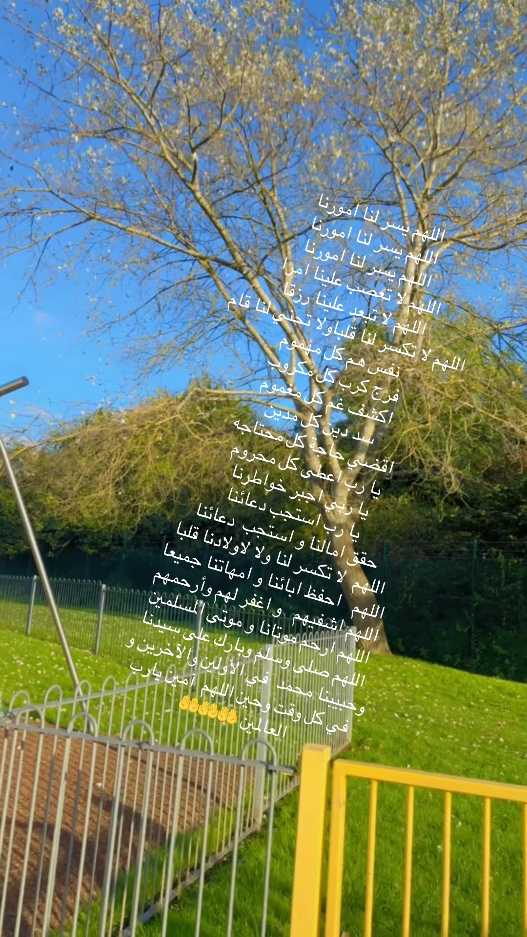 @Asma Azra