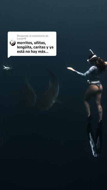 @sofiasurfers🦋✨