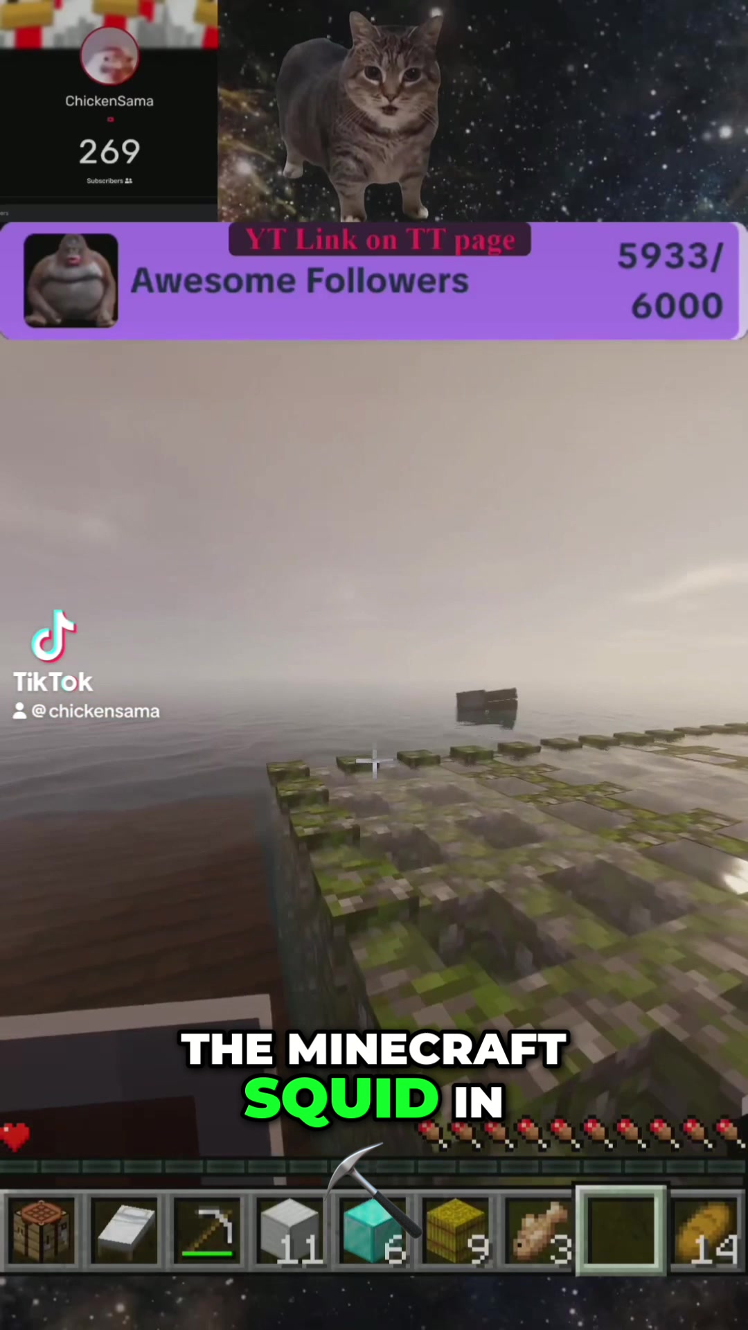 @ChickenSama