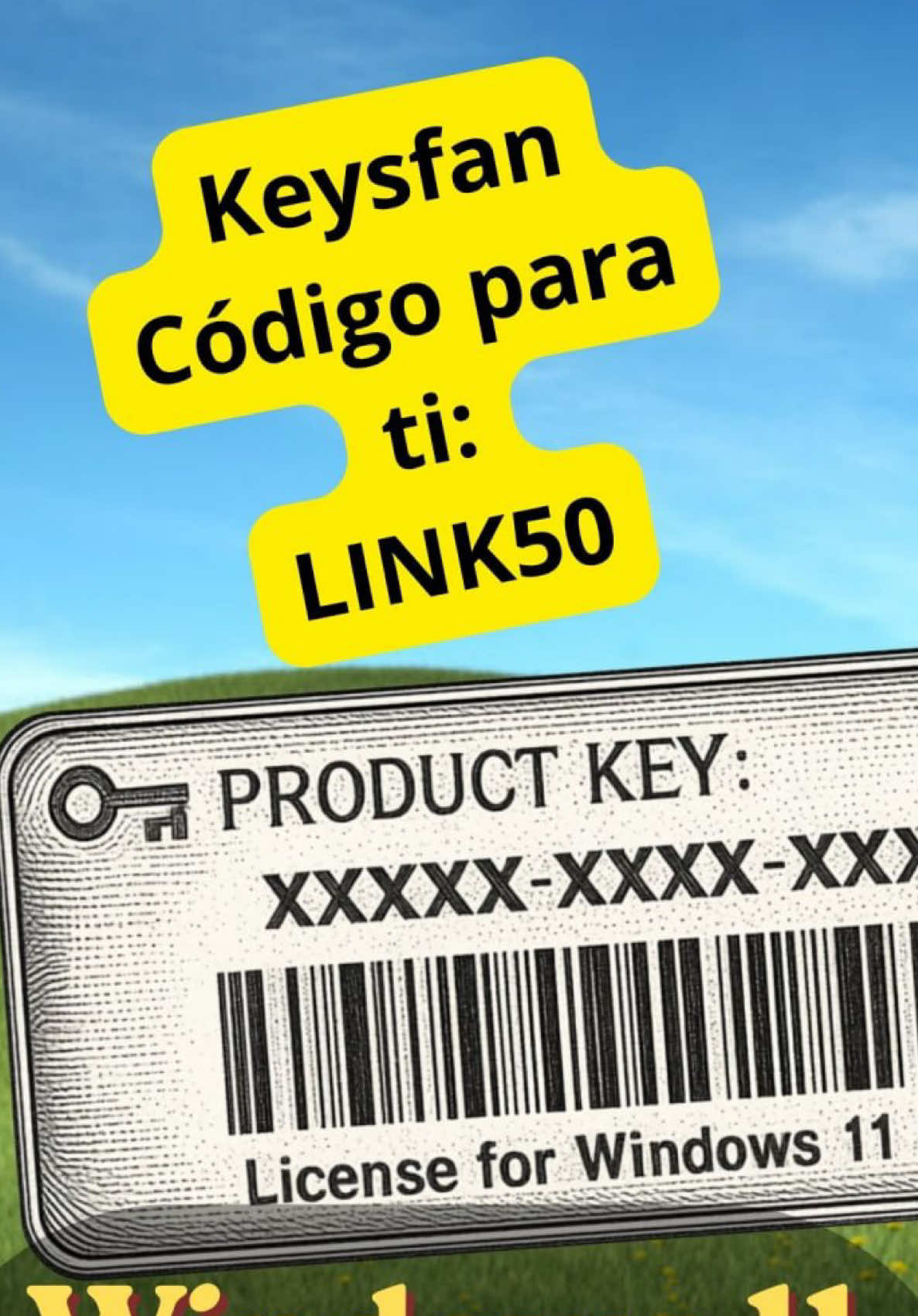 @Linkfydev
