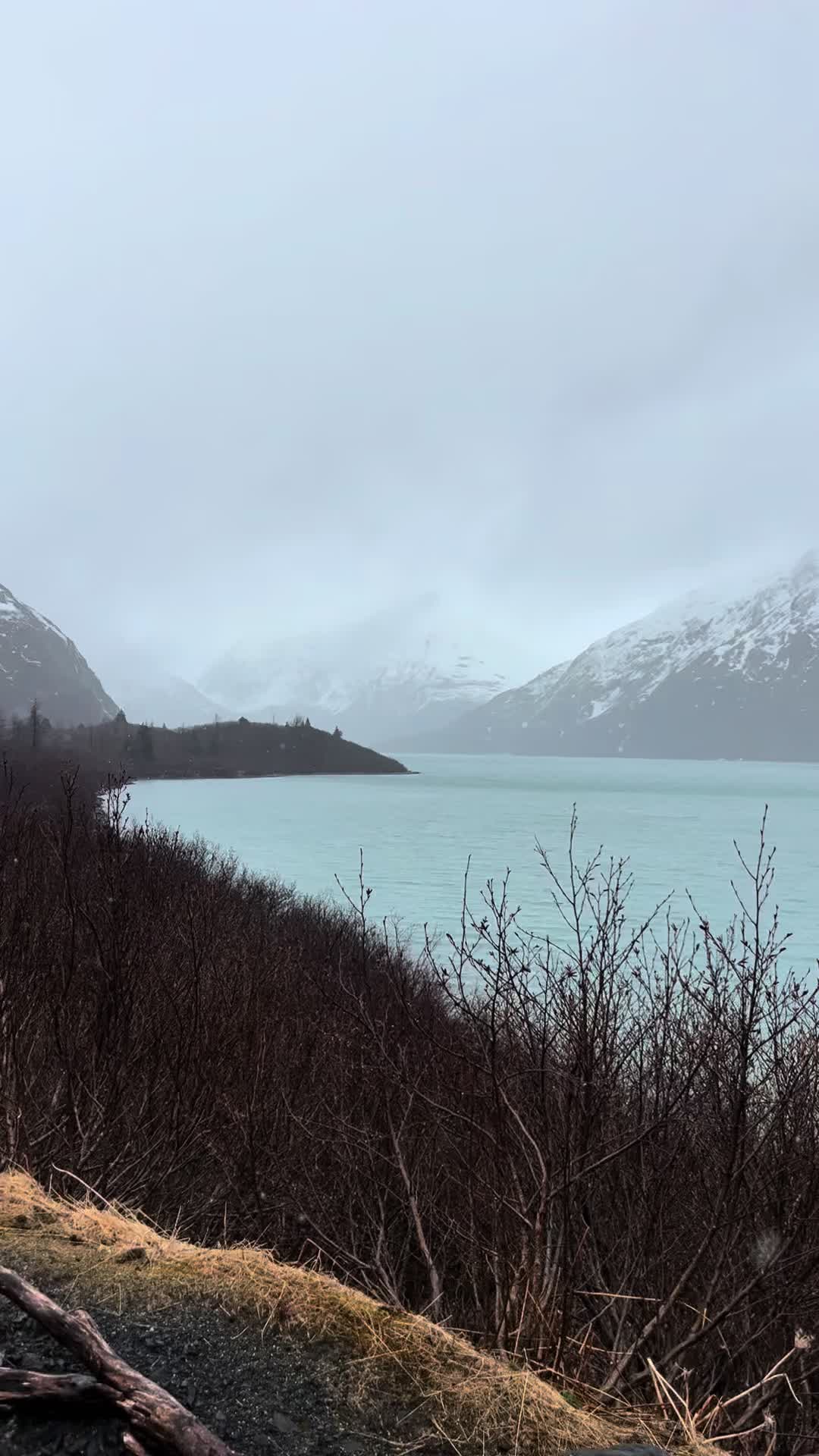 @Chasey Campbell 🏔️🕷️🐾