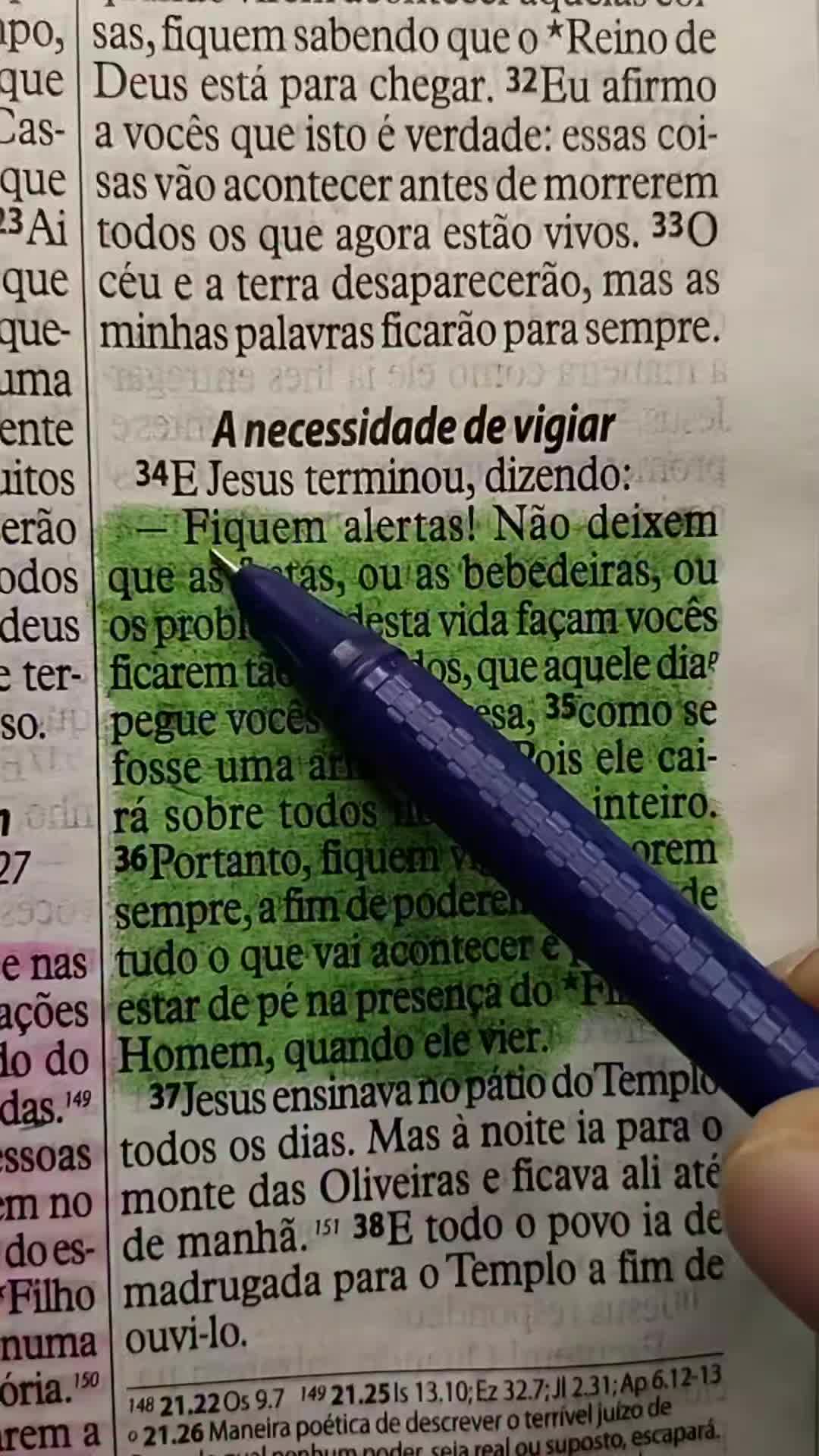 @Jorge Barros 🇵🇹