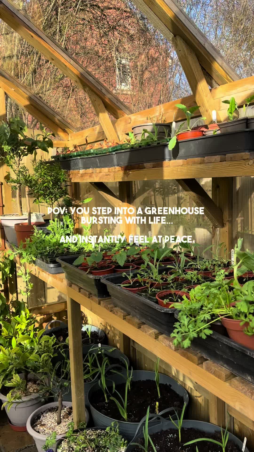 @Diary of a Yorkshire Gardener