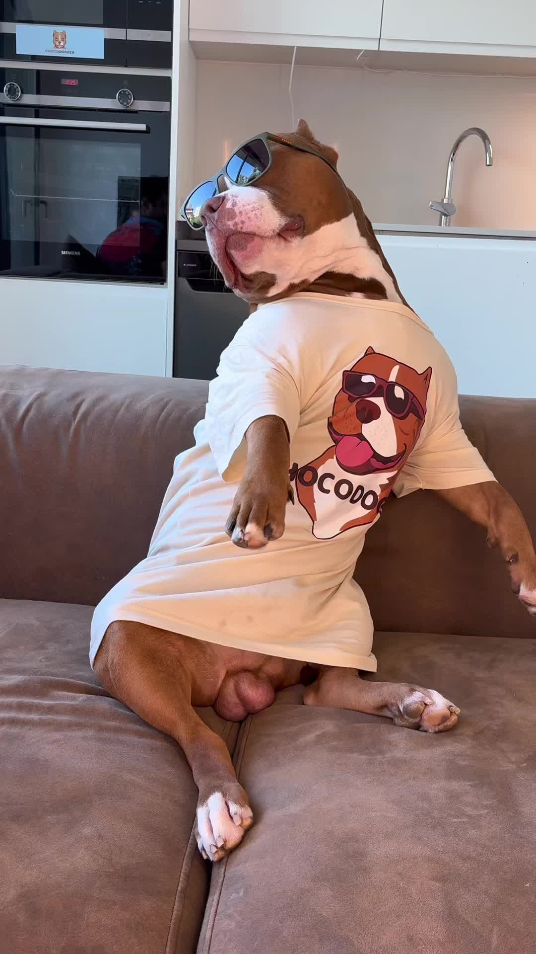 @Chocodogger