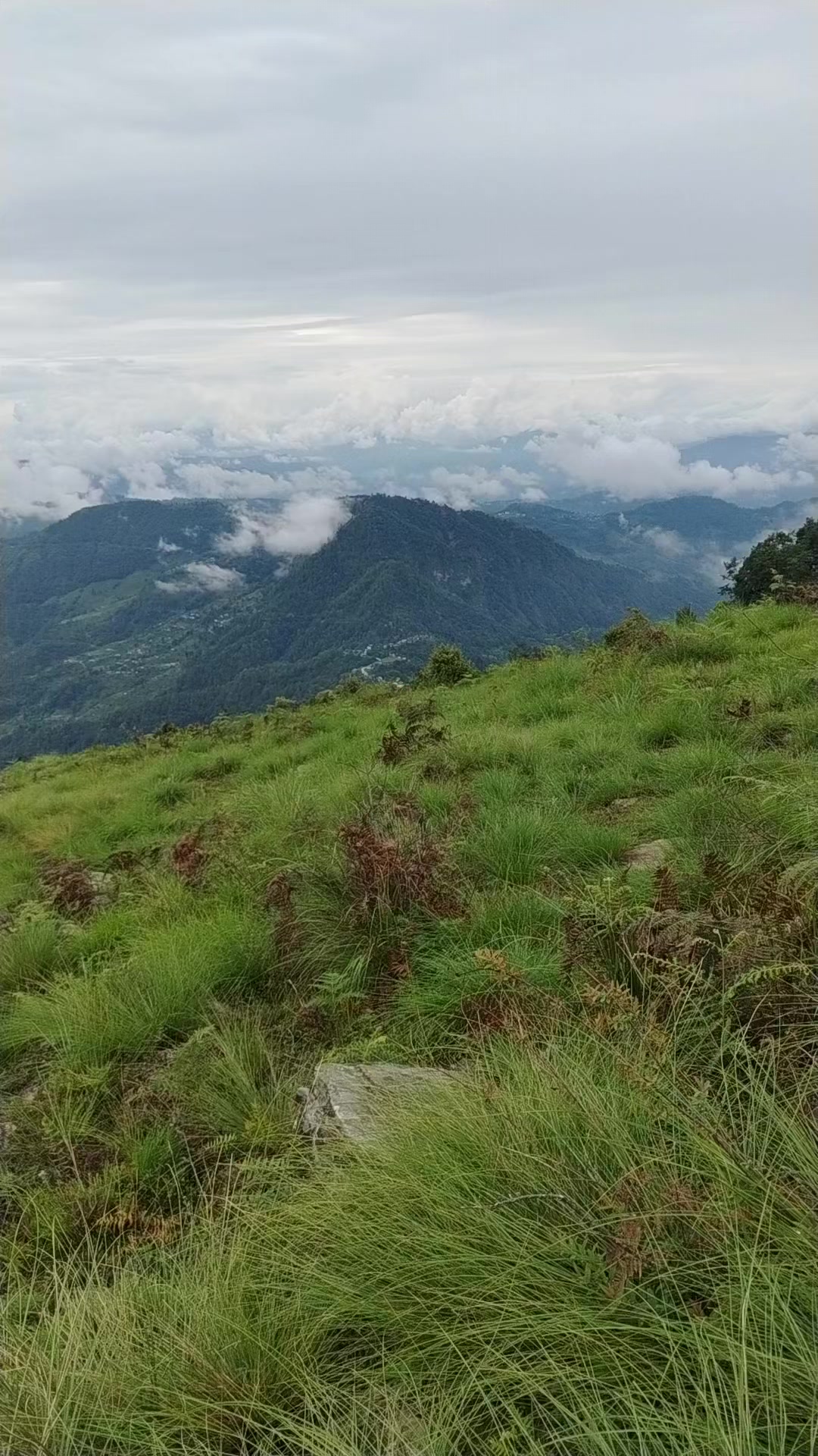 @Sujan Gurung