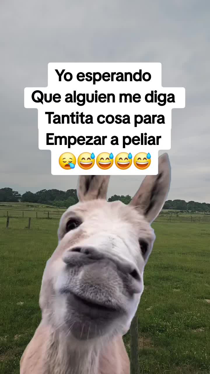 @R&aacute;pido💫&🌻Furioso🧝&zwj;♀️