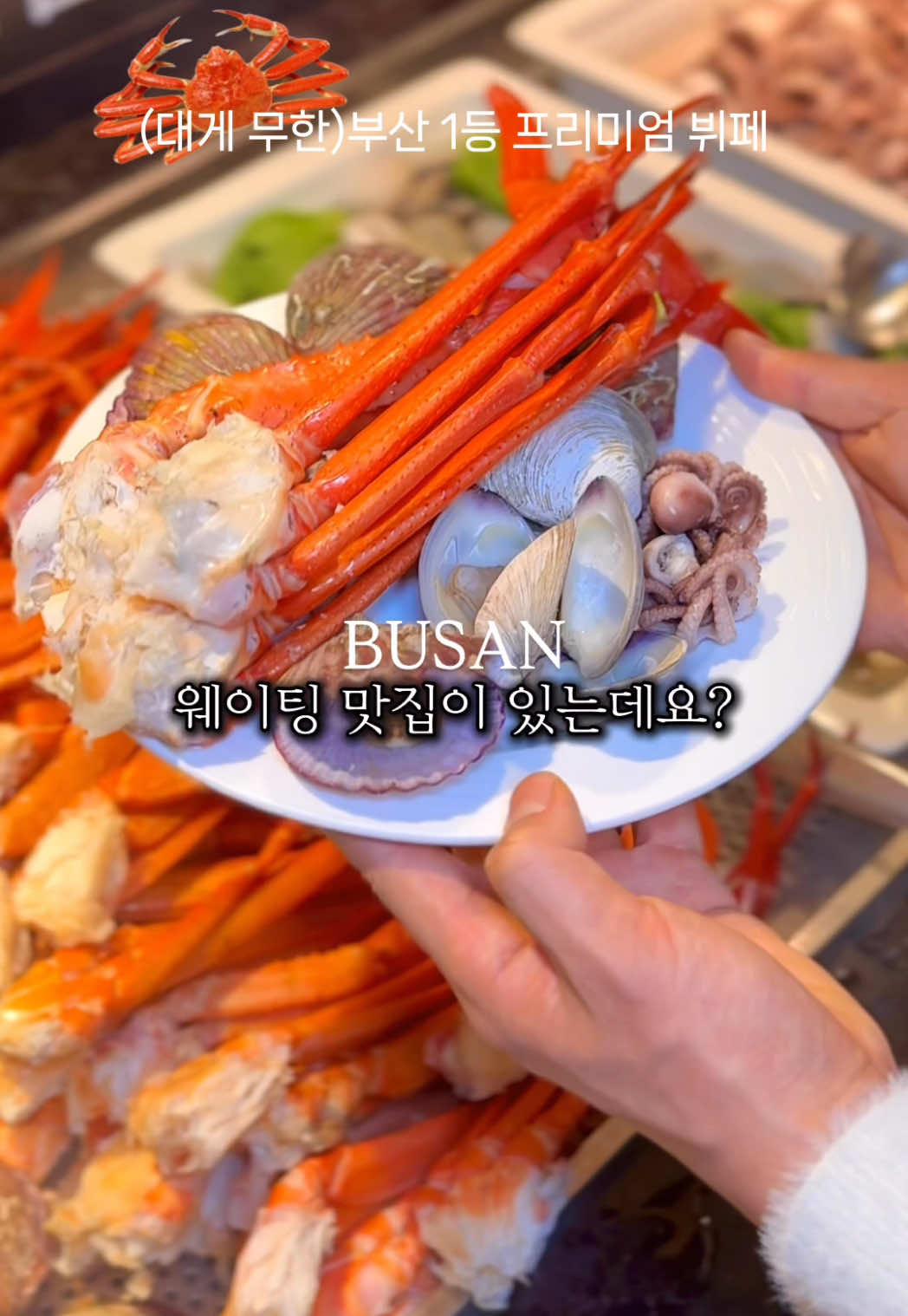@지혜둥이 (부산맛집 부산핫플 부산여행)