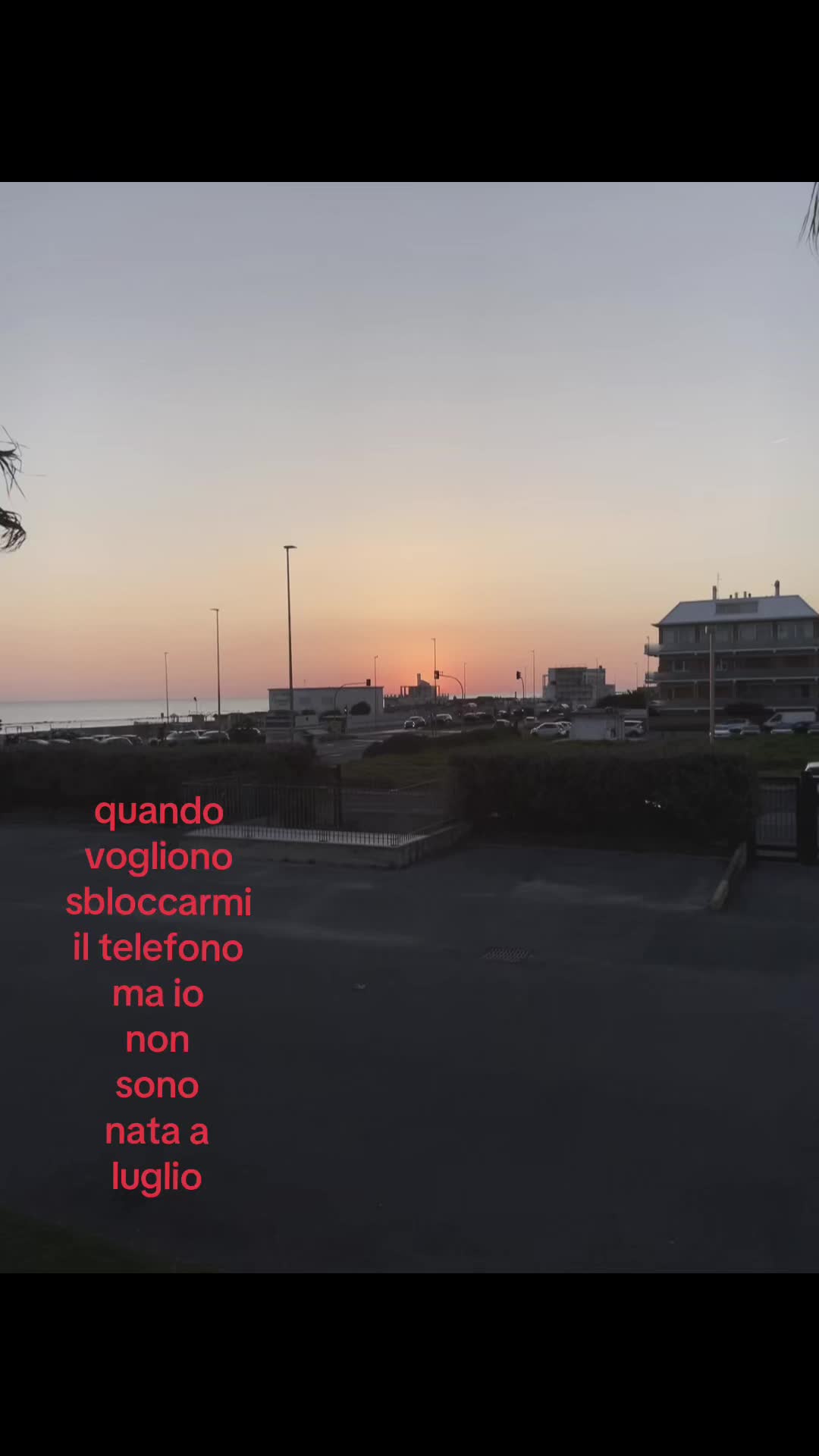 @violifil💓