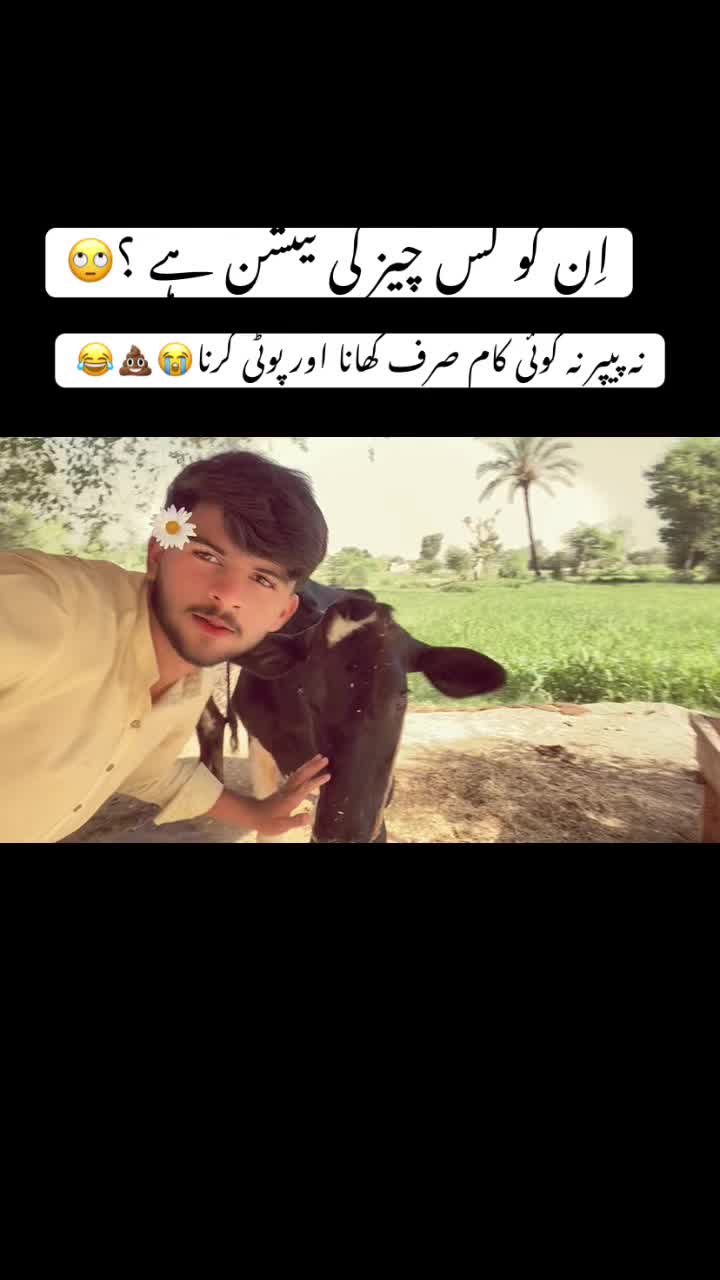 @دانی۰❤️🩹