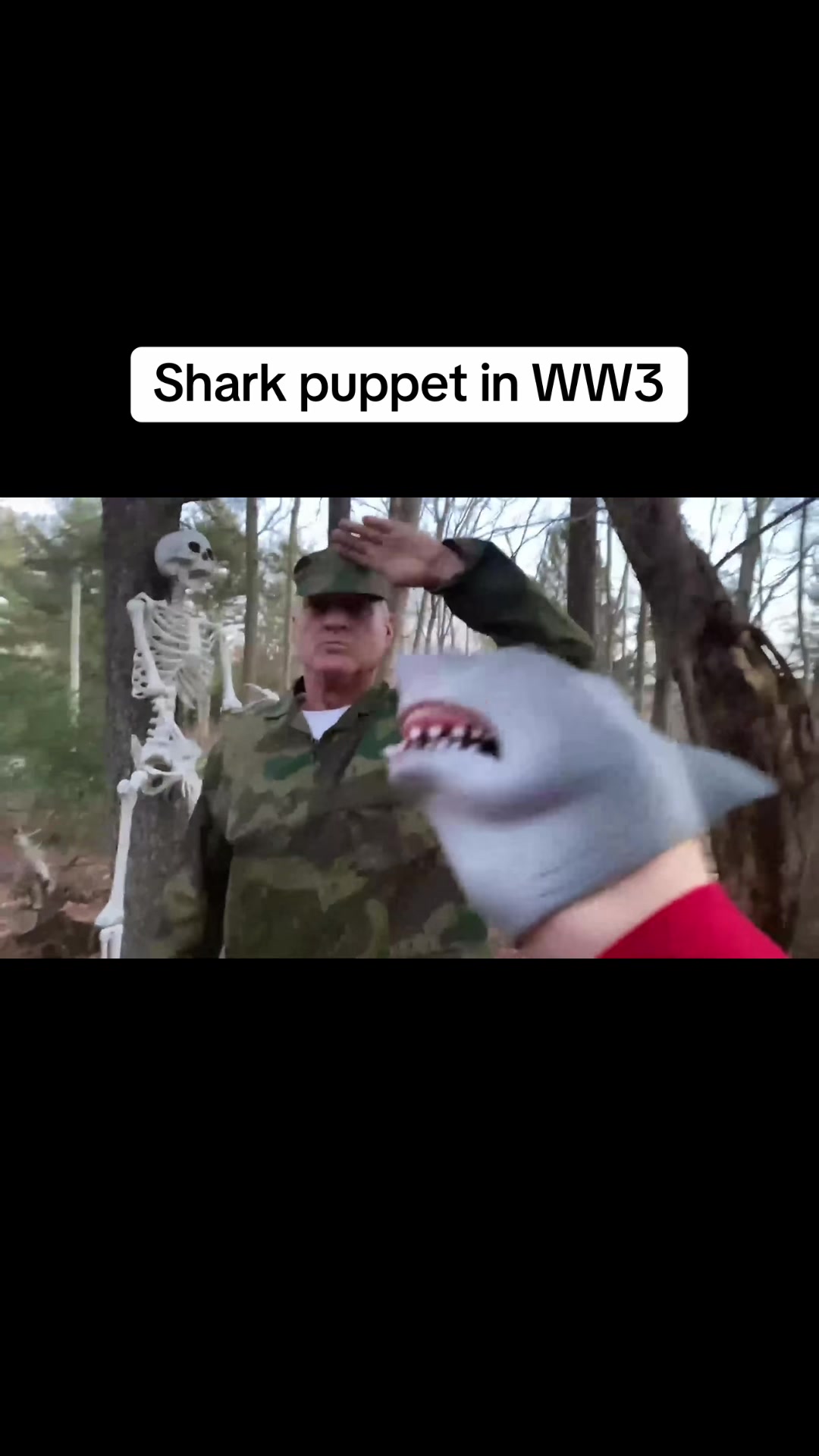 @the.shark.puppet