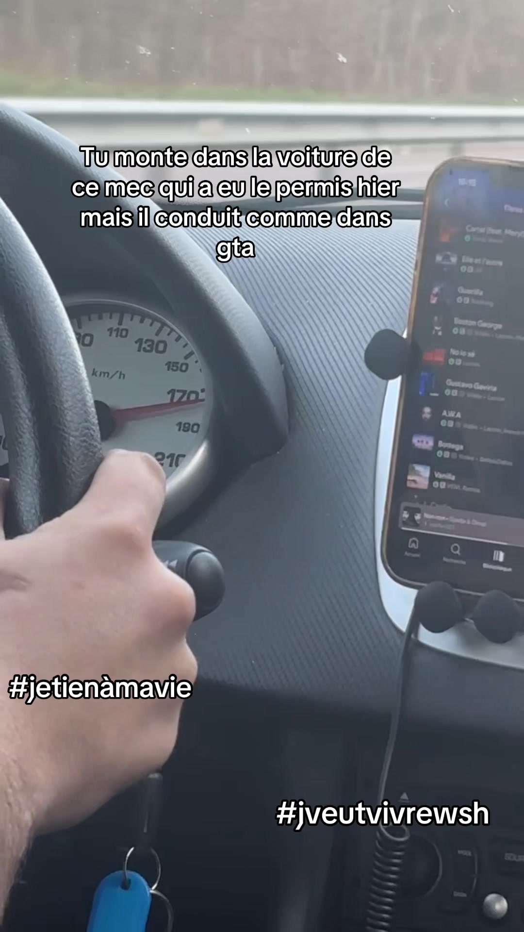 @animefan