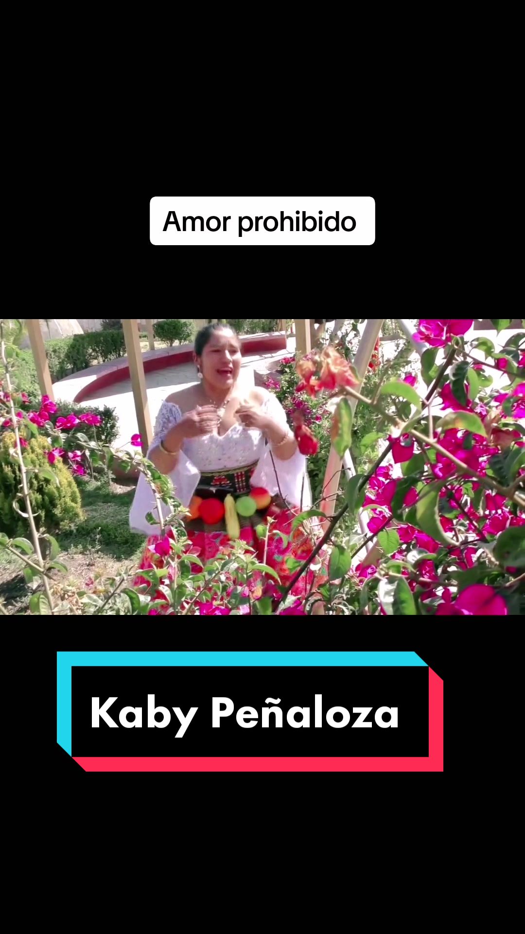 @Kaby🦁🇵🇪🇺🇲🎤🎼 peñaloza