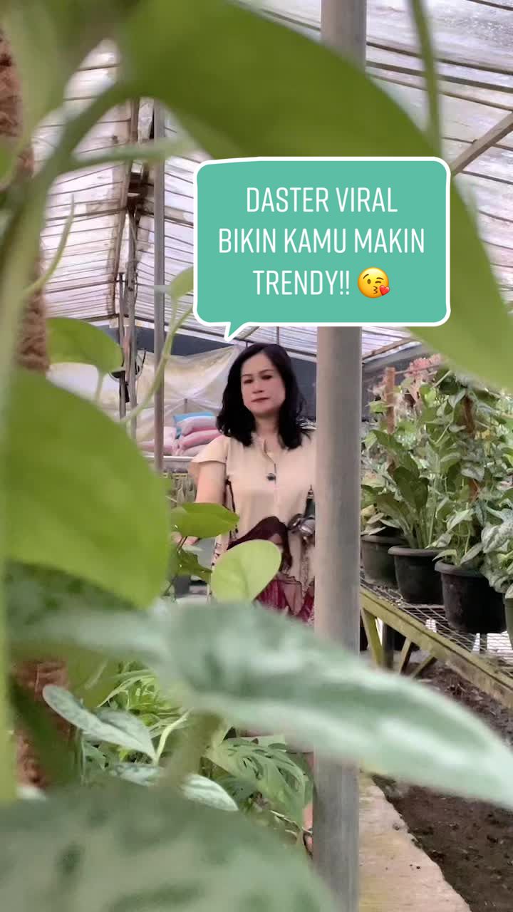 @narkissos