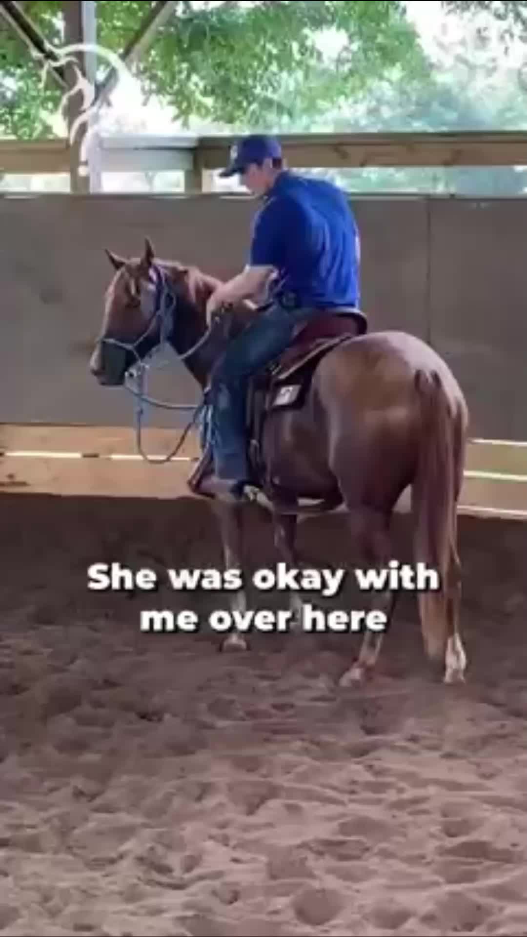 @Horse Help
