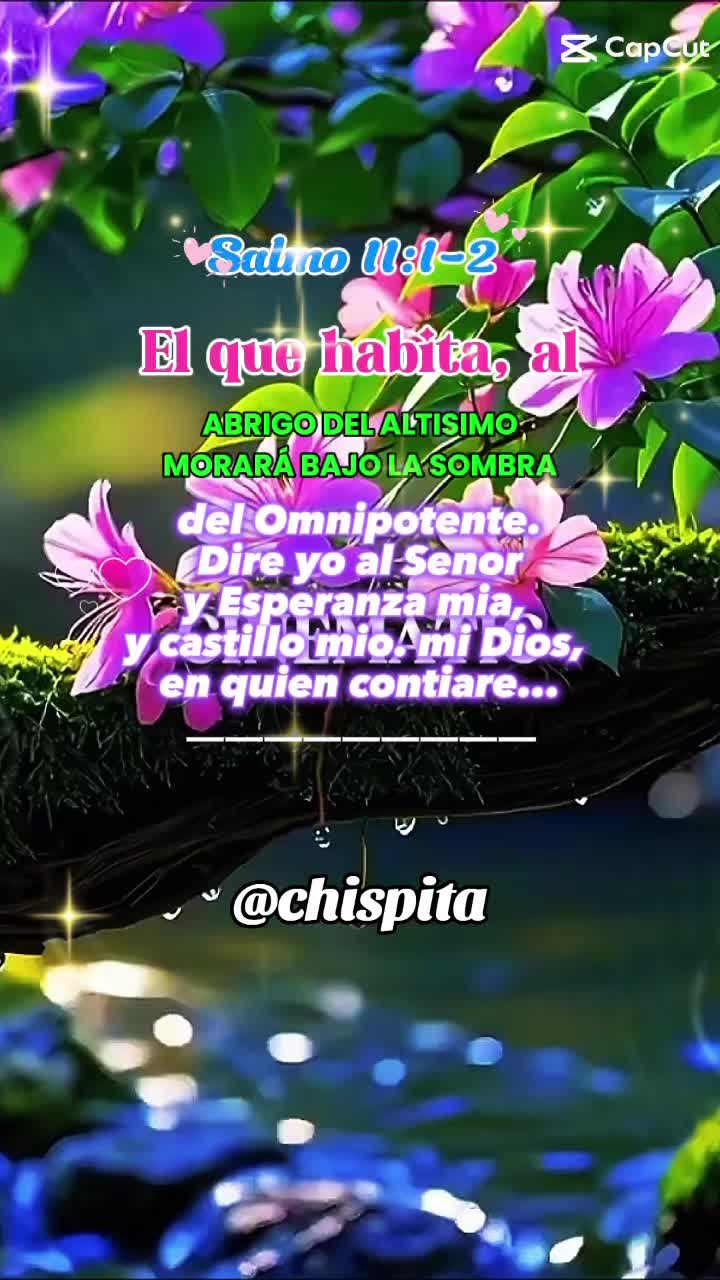 @👤Chispita