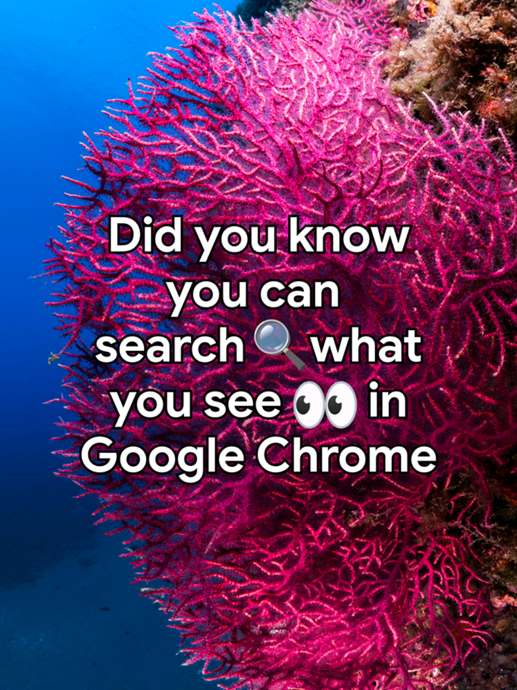 @Google