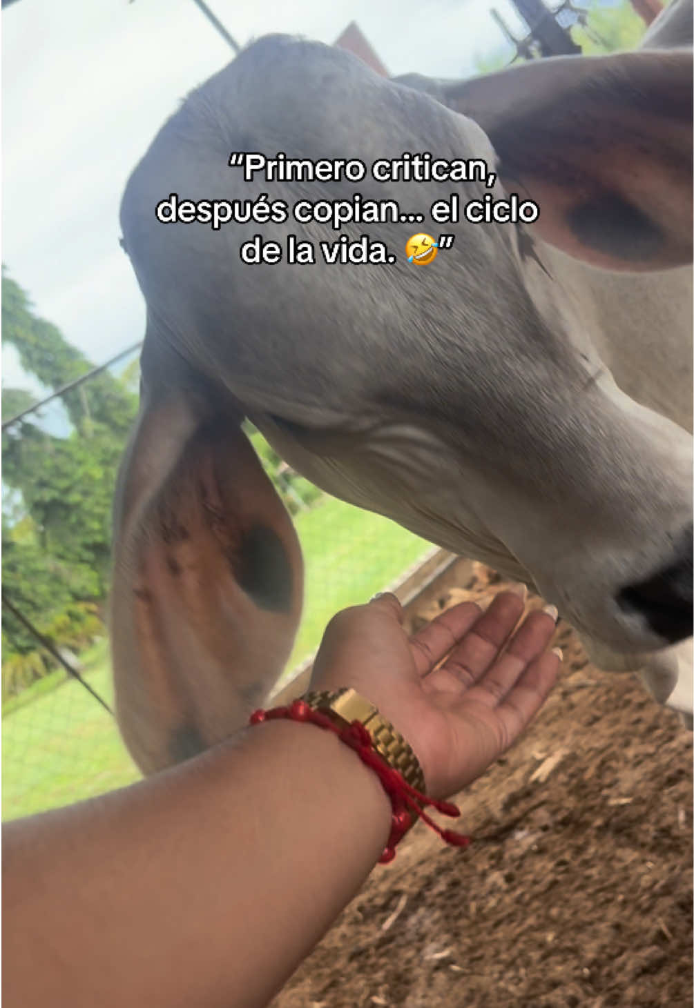 @Yarnelis Pérez Maure